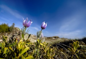 Spring is in the air.