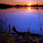 dykstra_muskoseepiparksunset-2