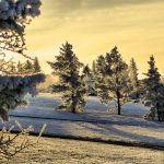 ormay_winter-morning-2